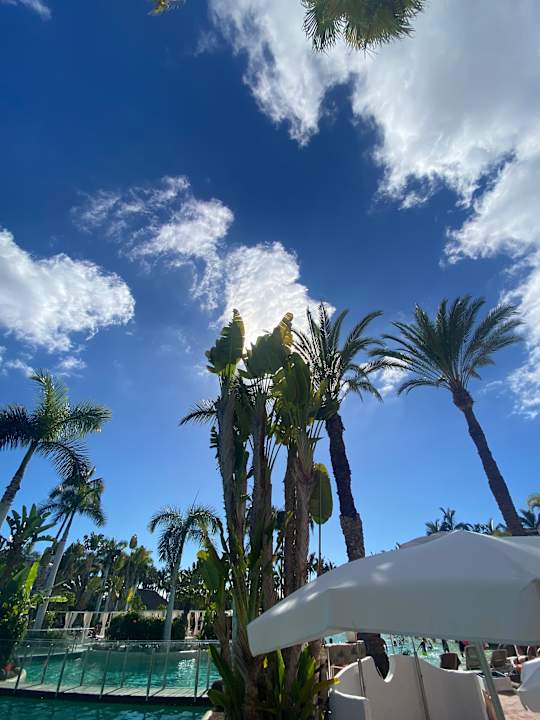 Pool Maspalomas Princess