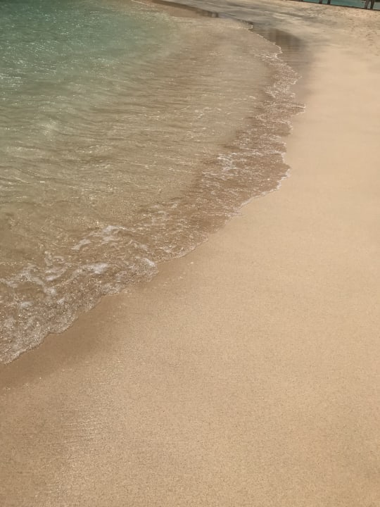 Strand Meliá Laguna Beach