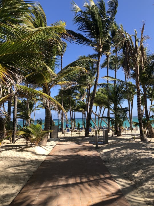 Ausblick Hotel Riu Palace Punta Cana
