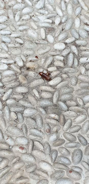 Sonstiges Alp Pasa Hotel - Special Class