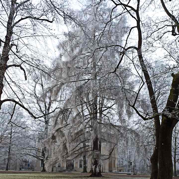 Gartenanlage AHORN Berghotel Friedrichroda
