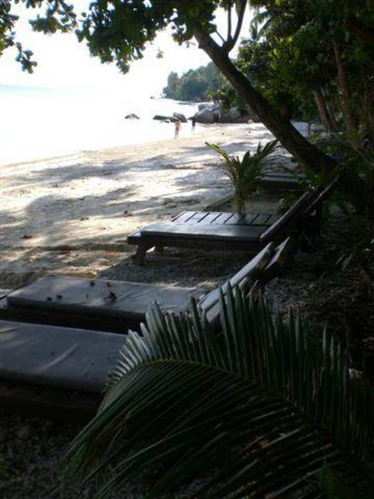 Lecker D'coconut Island Resort