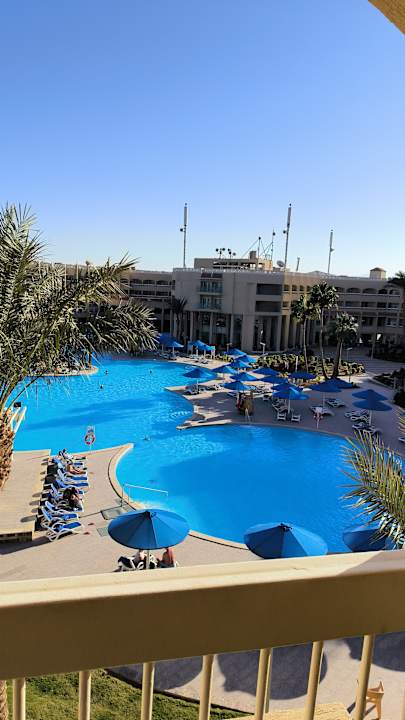 Pool Beach Albatros Resort