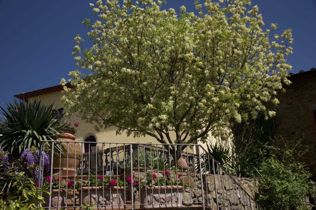 Außenansicht Ventena Vecchia antico frantoio