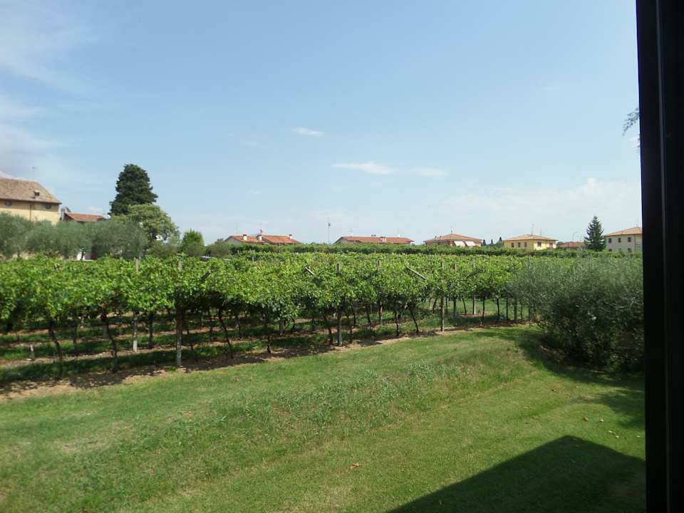 Ausblick Agriturismo La Vigna