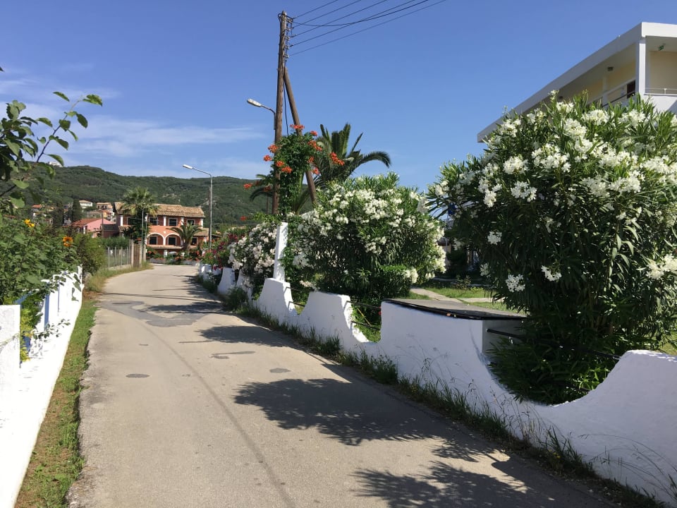 Straße neben dem Hotel SeaBird Hotel