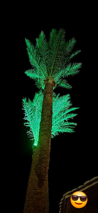 Außenansicht Pharaoh Azur Resort