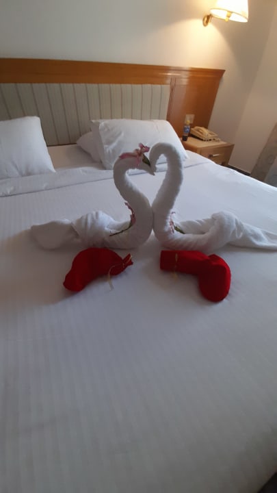 Zimmer Pharaoh Azur Resort