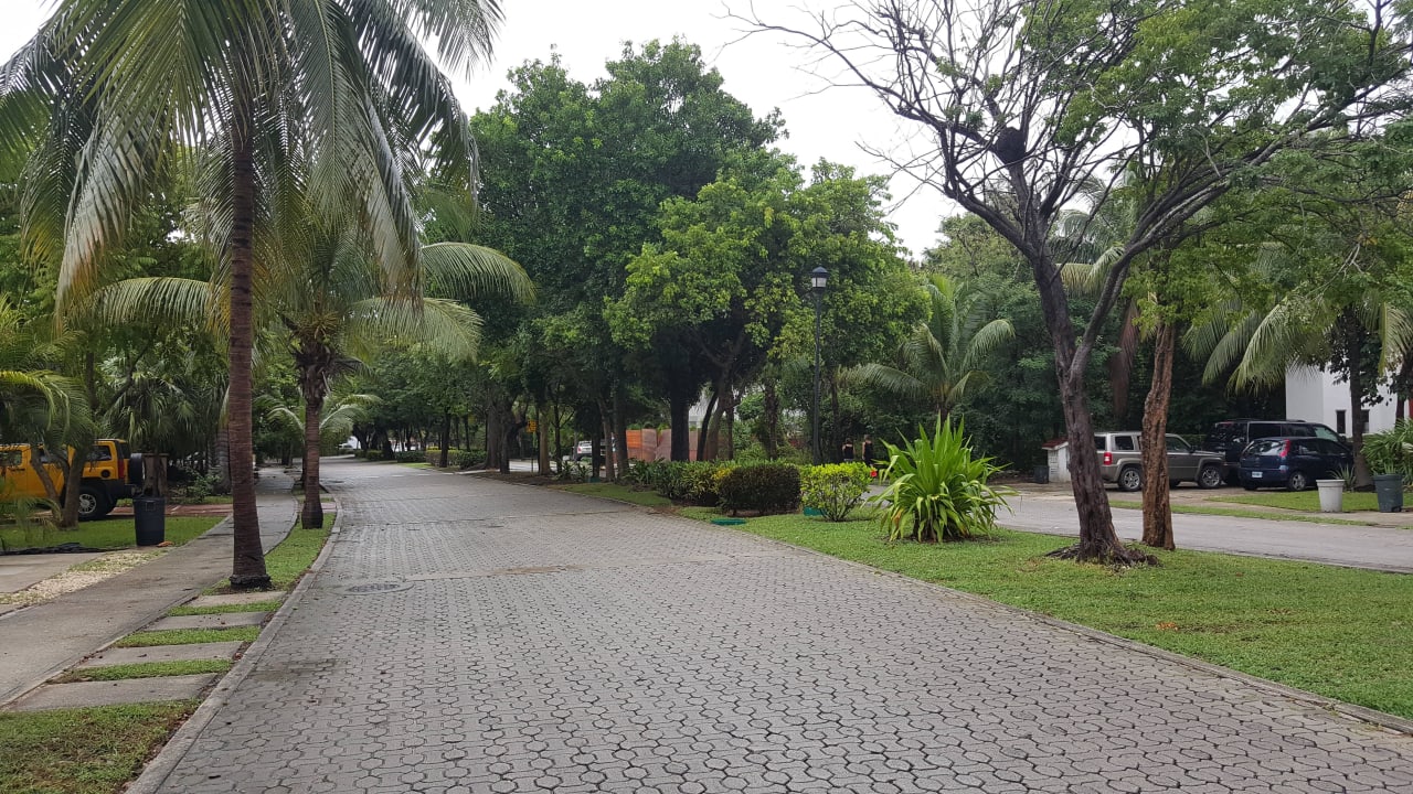 Strasse zum Hotel Hotel Riu Tequila