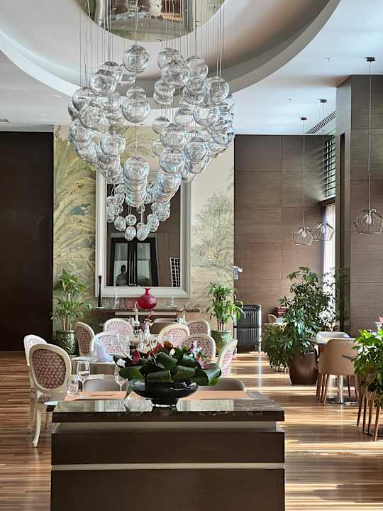 Gastro Arum Barut Collection