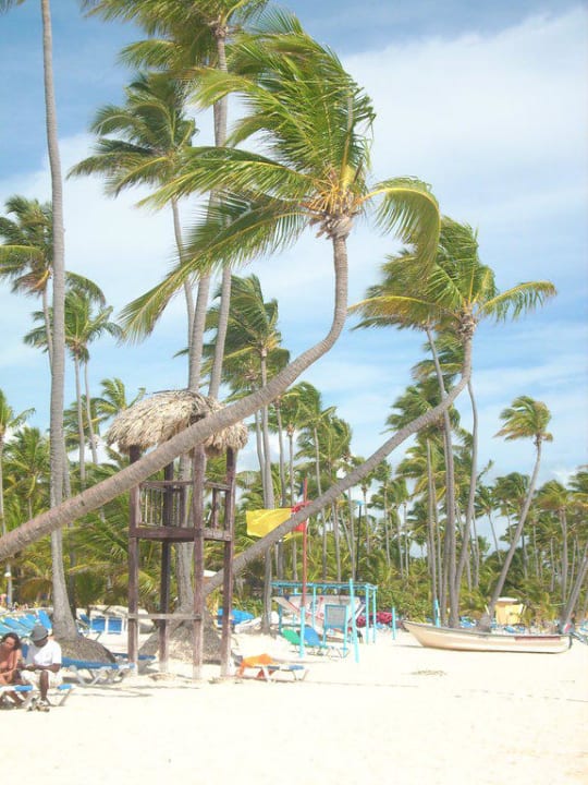 Überall nur Strand Hotel Riu Palace Bavaro