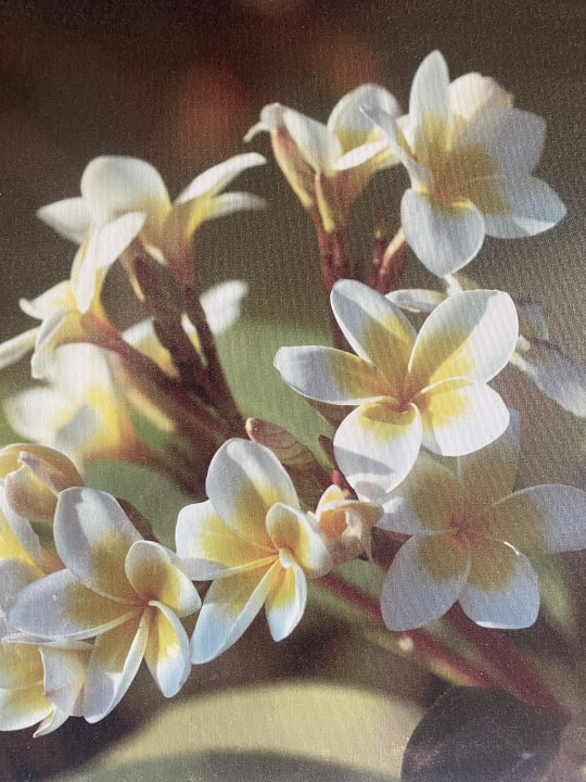 Sonstiges Kuredu Island Resort & Spa