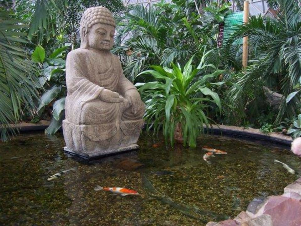 Tropical Island Tropical Islands Resort