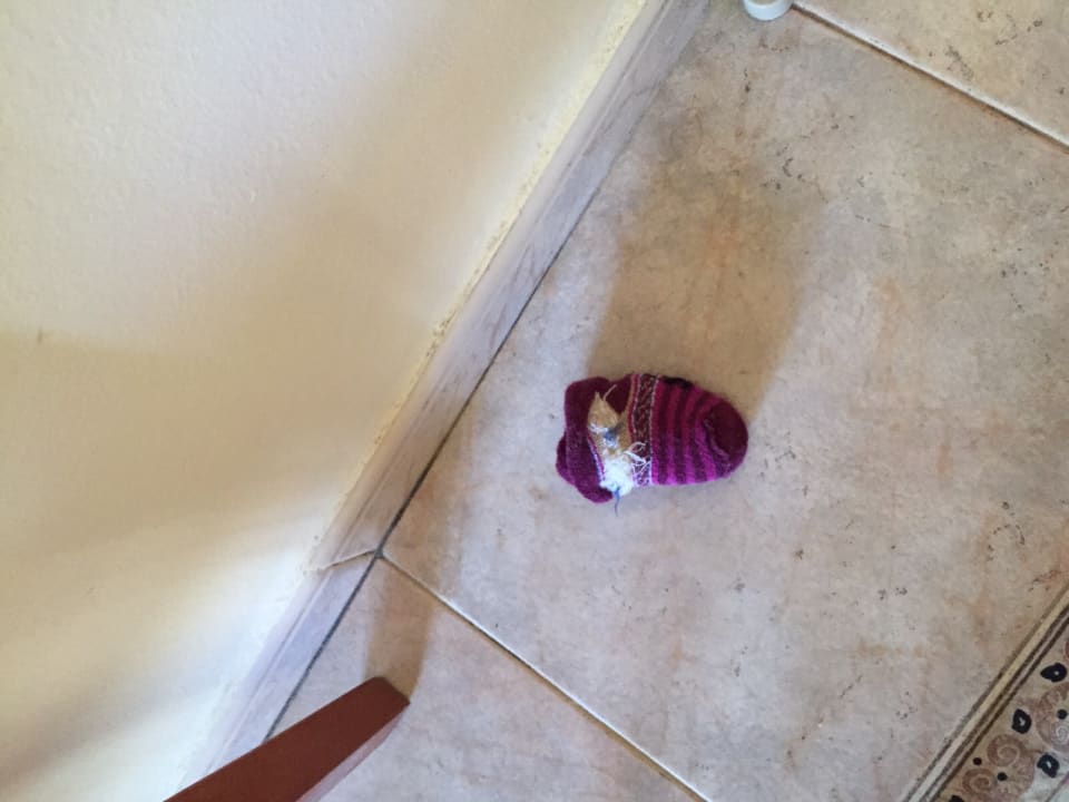 Zimmer TUI KIDS CLUB Punta Prima