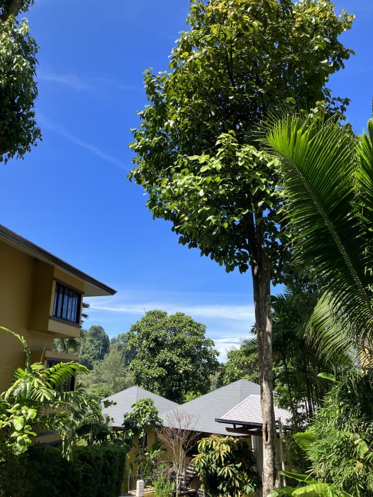 Außenansicht Moracea by Khao Lak Resort