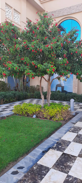 Gartenanlage Pickalbatros White Beach Resort - Hurghada