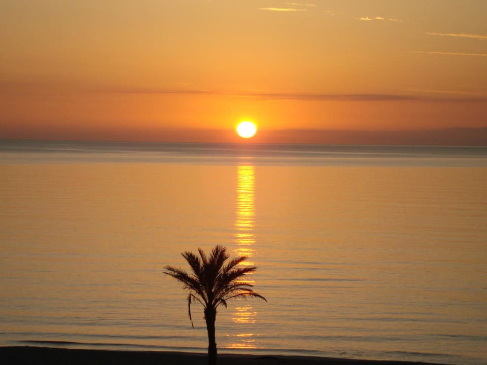 Früh aufstehen, dann gibt es das zusehen Hipotels Hipocampo Playa