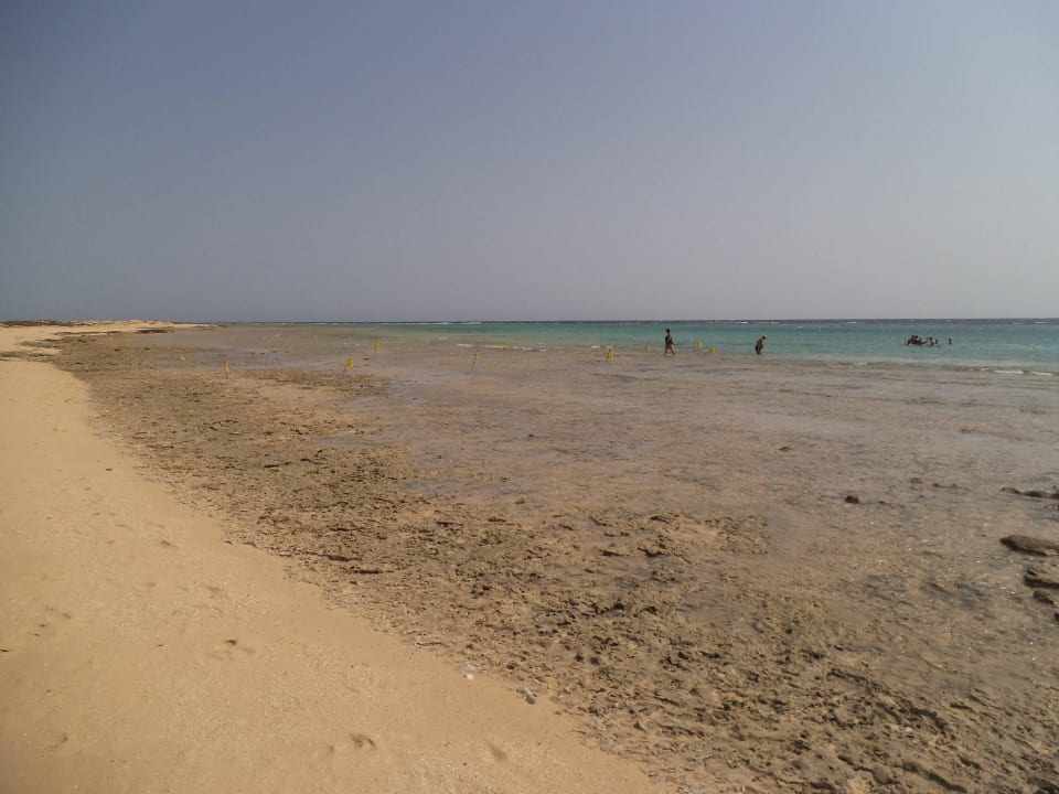 Strand bei Ebbe Hotel Gorgonia Beach Resort