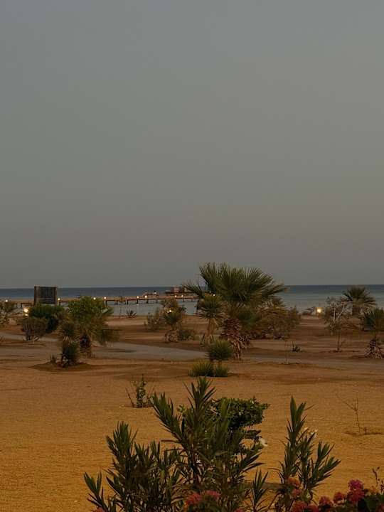 Gartenanlage Hotel Sheraton Soma Bay Resort