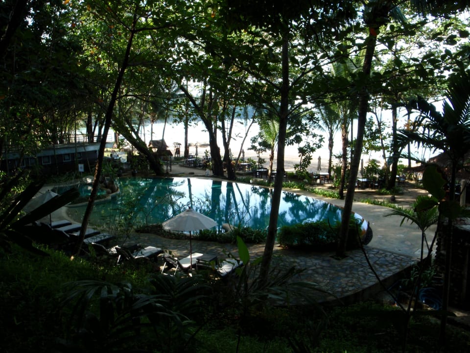 Poolblick Moracea by Khao Lak Resort