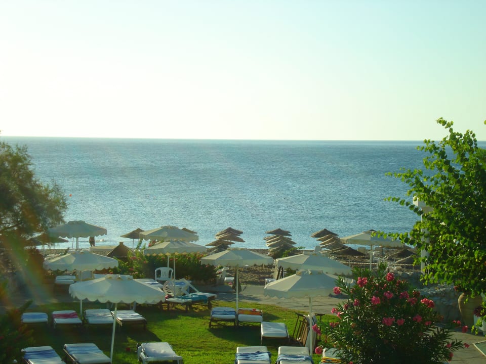 Von Terrasse Blick zum Meer Hotel Calypso Beach