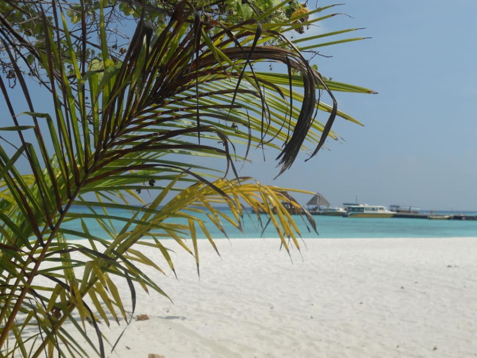 Strand bei Bungi 11 Summer Island Maldives