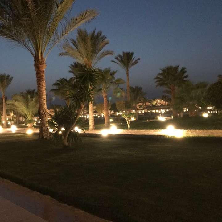 Garten Three Corners Sea Beach Resort