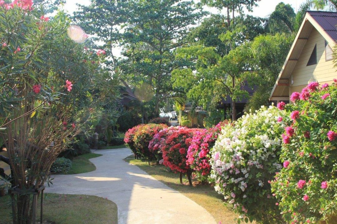 Weg zum Strand Hotel Lanta Castaway Resort