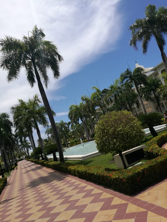 Gartenanlage Hotel Riu Palace Punta Cana