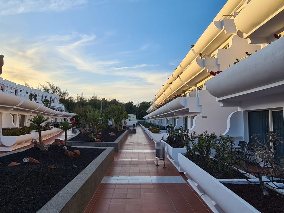 Gartenanlage allsun App.-Hotel Barlovento