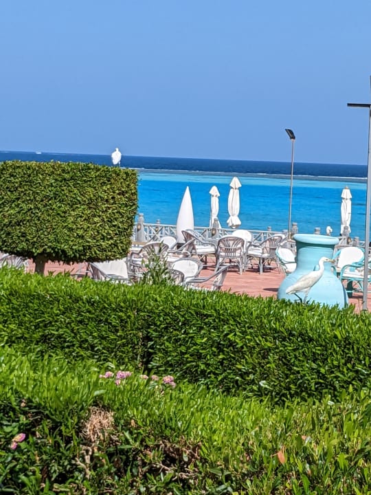 Ausblick Hotel Emerald Lagoon