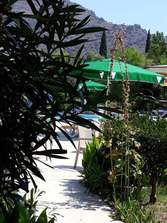 Pool Dogan Paradise Beach