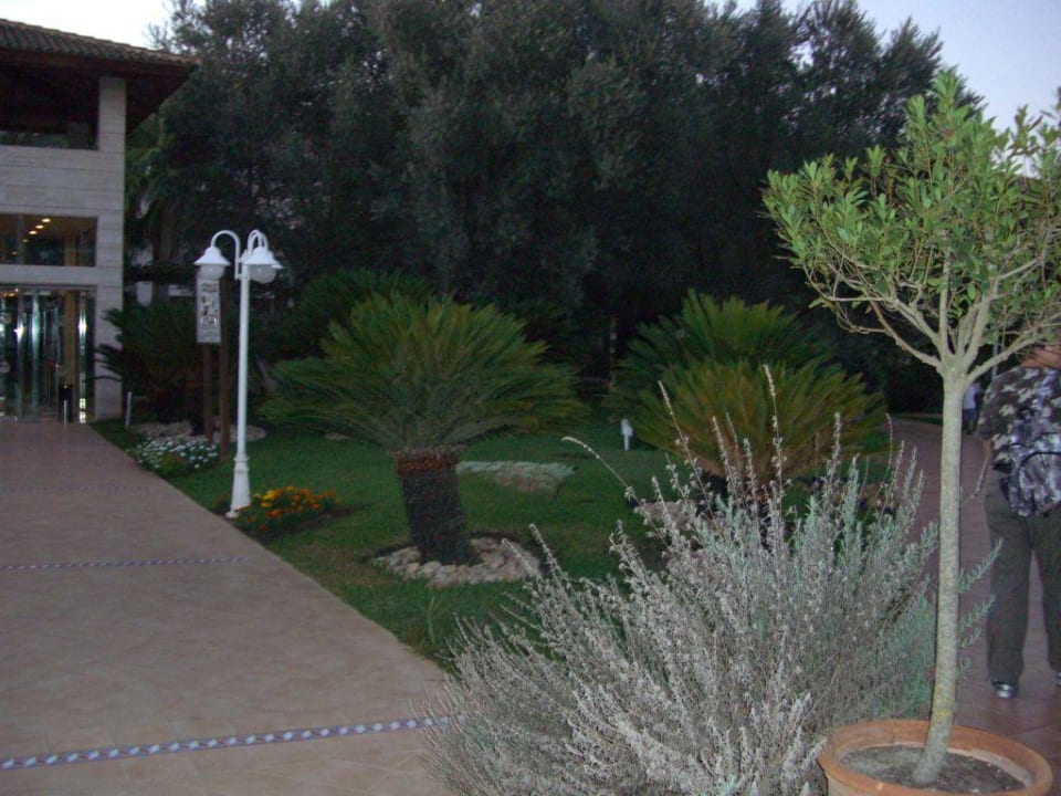 Garten Playa Garden Selection Hotel & Spa