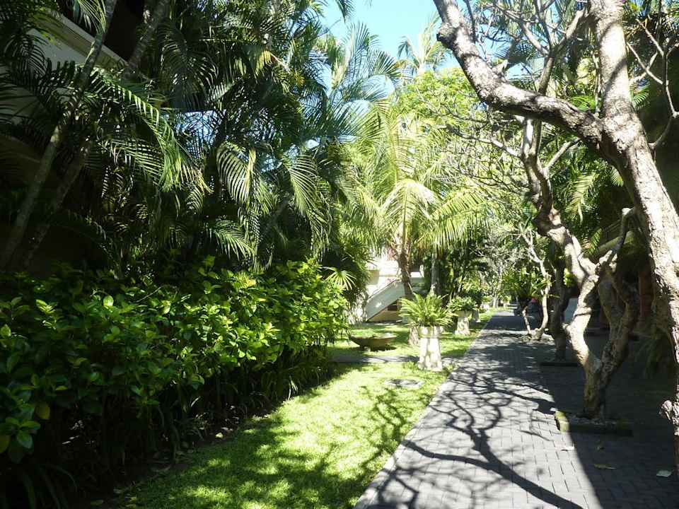 Verschlungene Wege Puri Santrian