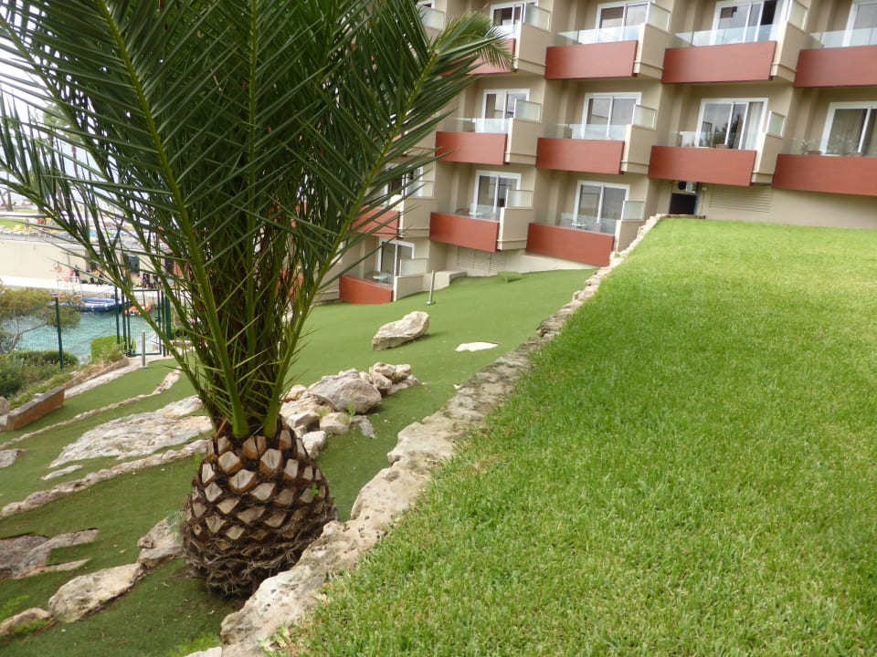 Vom Wellnessbereich fotografiert Hotel Bonanza Playa