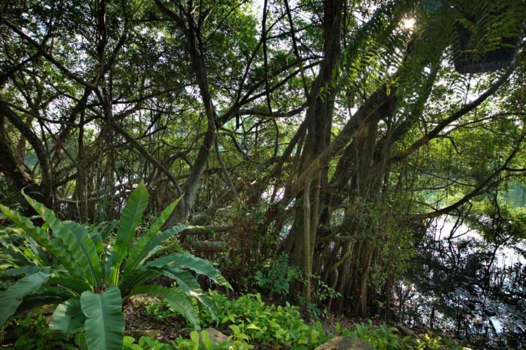 Ausblick Rimnaam Klangchan Hotel