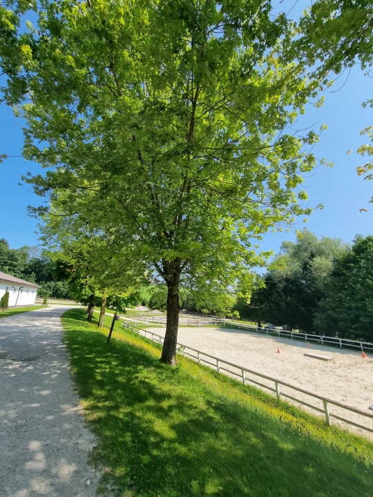 Sport & Freizeit Aldiana Club Ampflwang