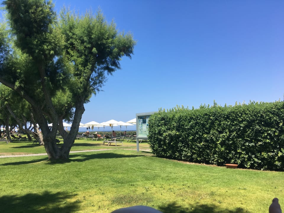 Gartenanlage Neptune Luxury Resort