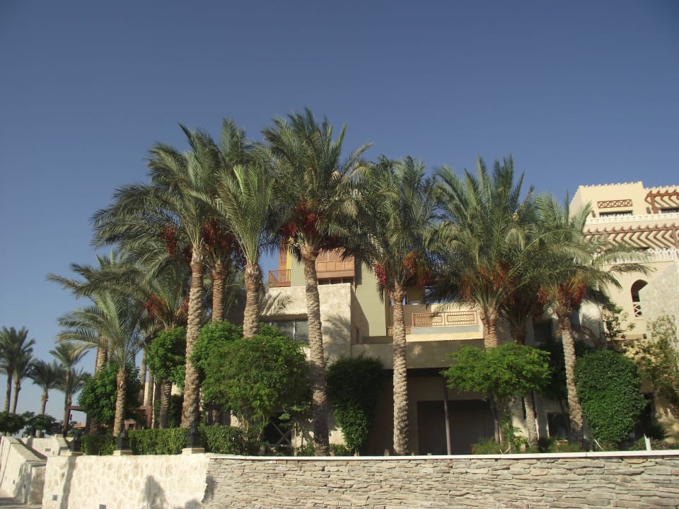 Один из корпусов отеля Makadi Spa - Adults only