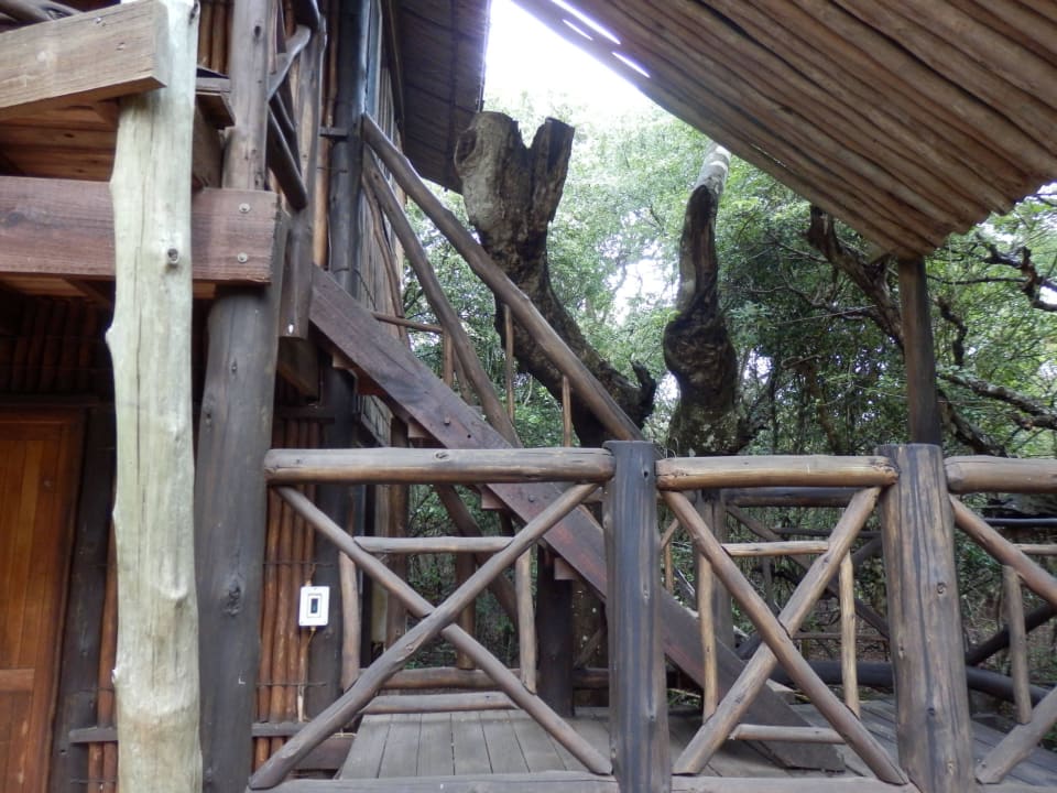 Die Treppe zum Bad Ezulwini Game Lodge