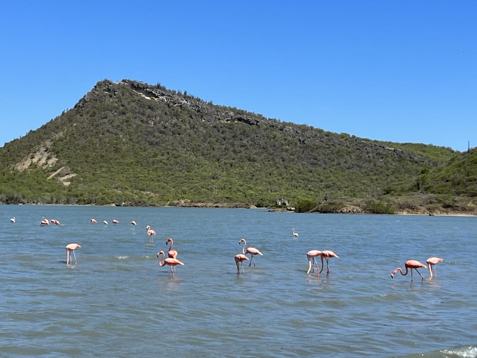 Sonstiges Don Genaro Apartments