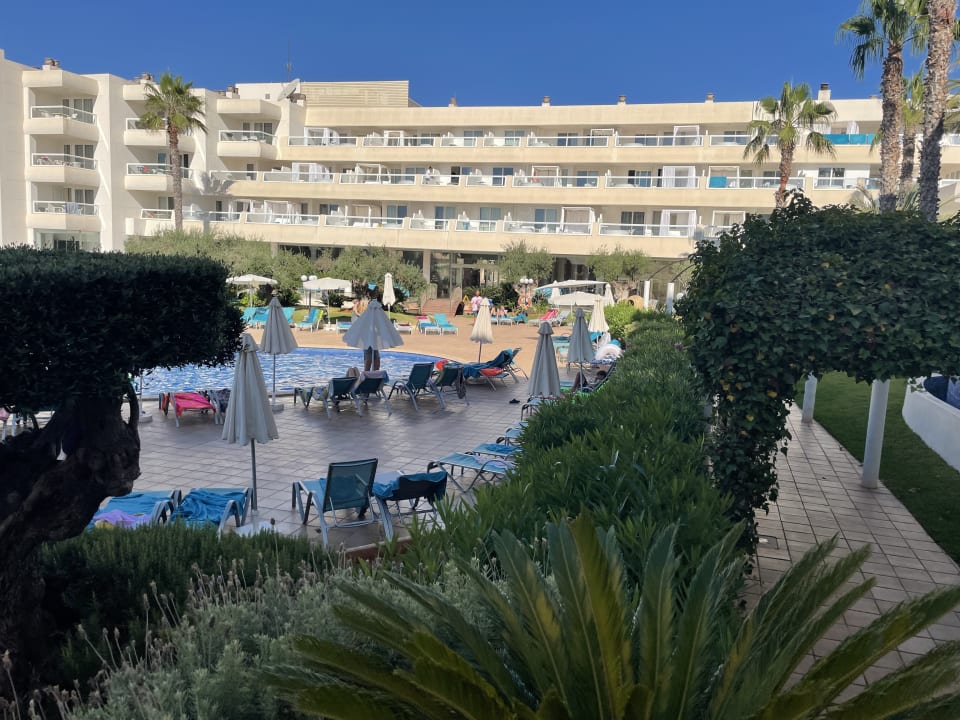 Pool Hotel Tropic Garden