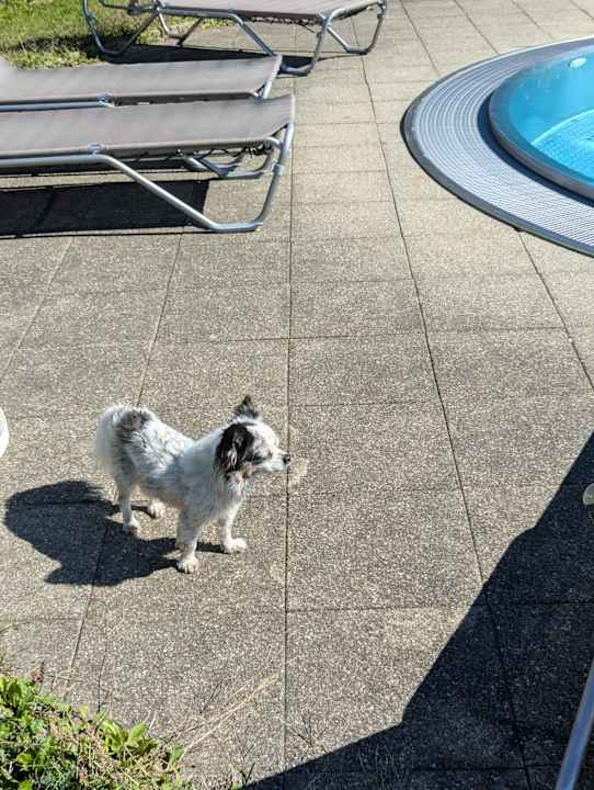 Pool Vitalhotel Quellengarten