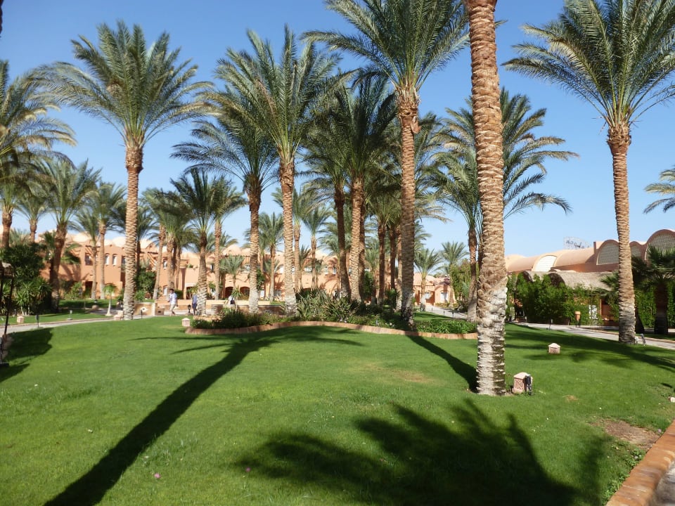 Gartenanlage                                       Jaz Makadi Oasis Resort
