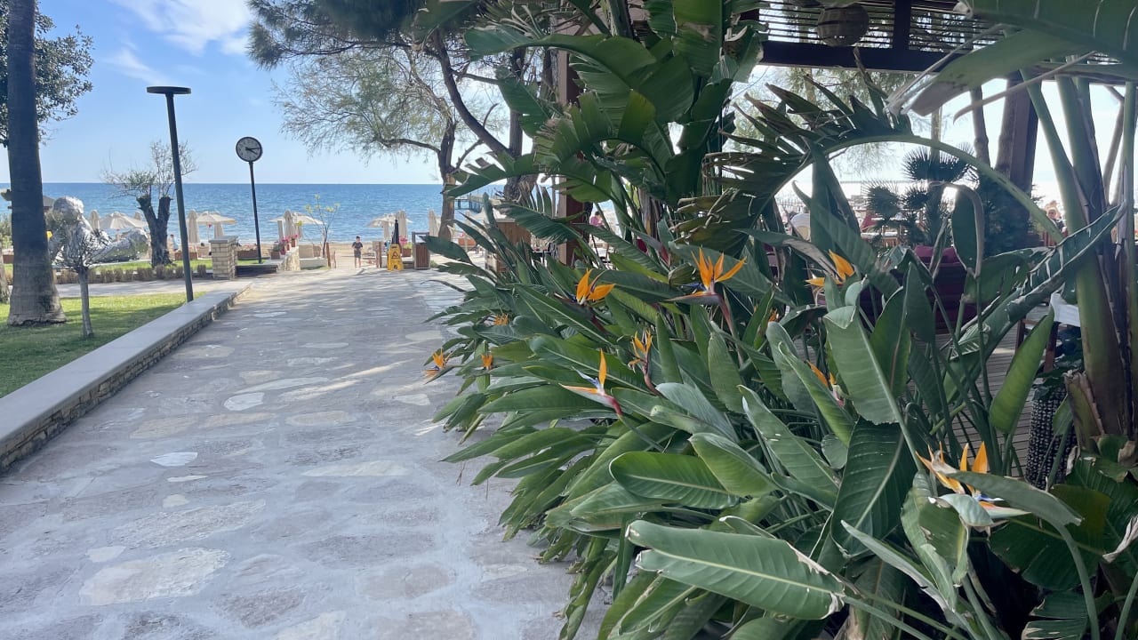 Gartenanlage Arum Barut Collection