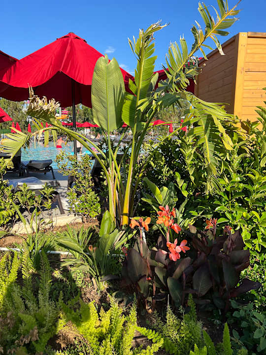 Gartenanlage Hotel Delphin Palace