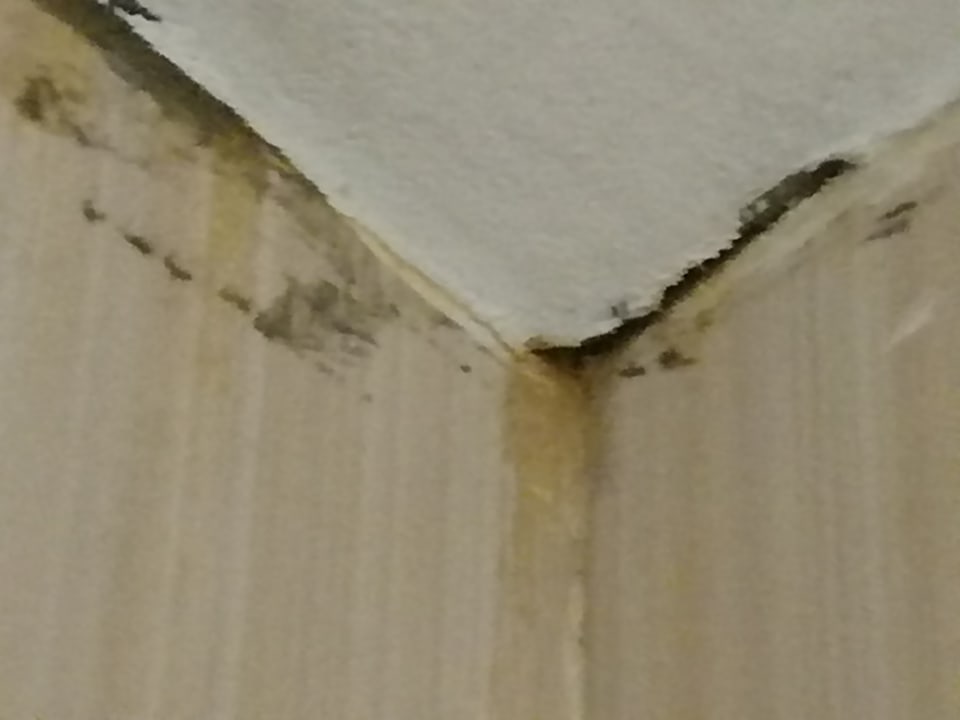 Zimmer Sirenis Tropical Varadero