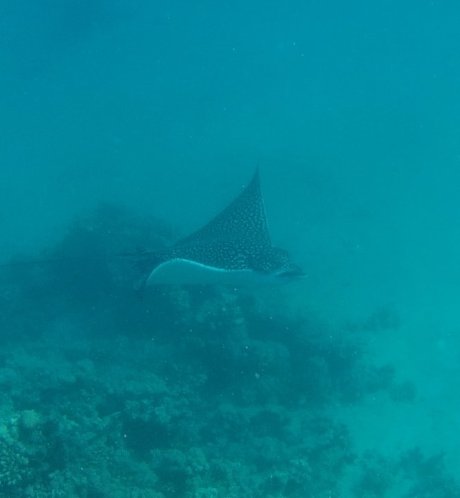 Sport & Freizeit Cleopatra Luxury Resort Makadi Bay