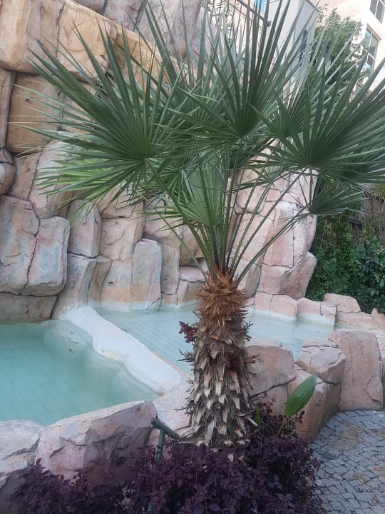 Gartenanlage Aydinbey Kings Palace & Spa