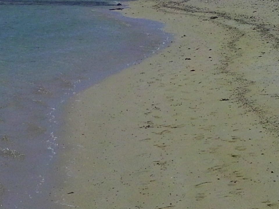 Einsamer Strand Hotel Gorgonia Beach Resort